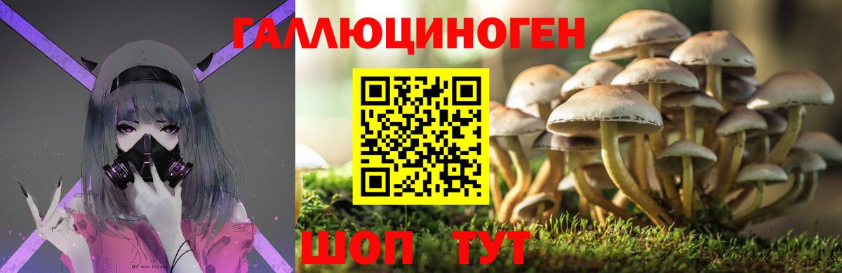 Озёрск  сколько стоит  Галлюциногенные грибы Magic Shrooms  Вход с VPN  Псилоцибиновые грибы Cubensis 